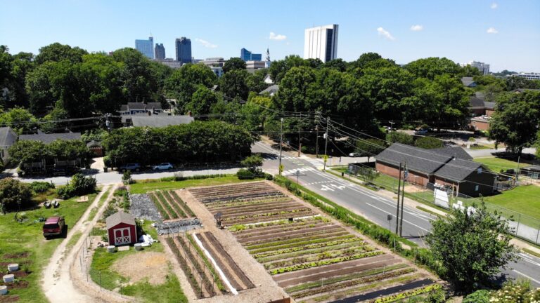 raleighcityfarm1 1 768x432