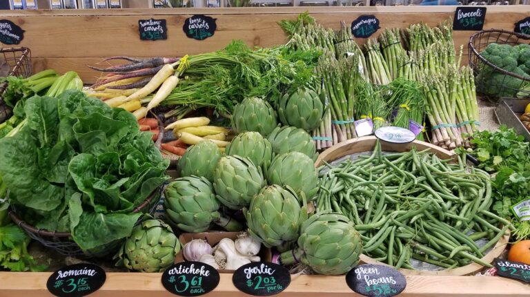 rootszerowaste3 768x430