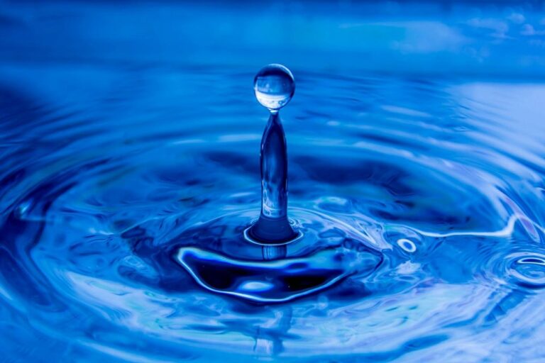 sw belmont 1 768x512