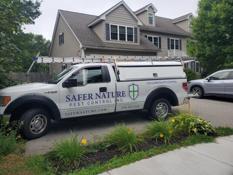 sw safer nature 1 768x576