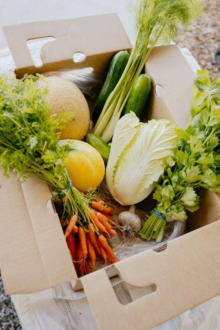 ecolibrium4 768x1152