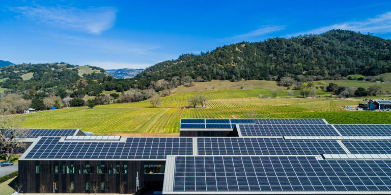 silveroaknapa5 768x384