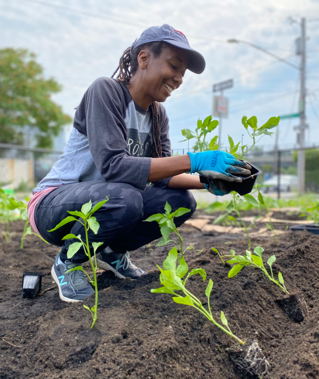 sw Urban Farming Institute 1