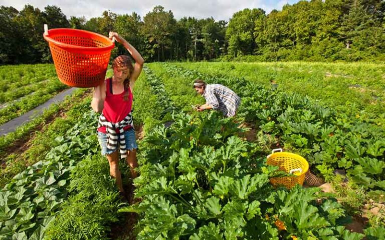 sw legal food hub 1 768x480