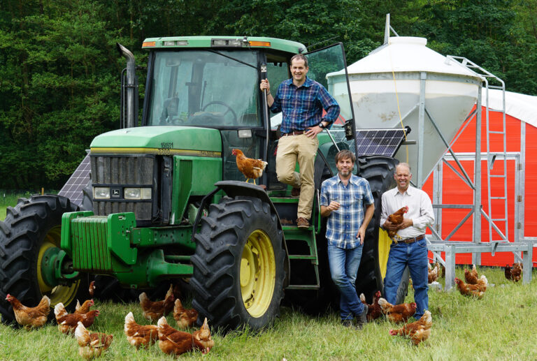 wilcoxfarms3 768x517