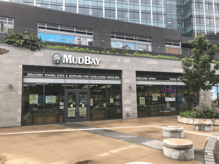mudbay kirkland 768x577