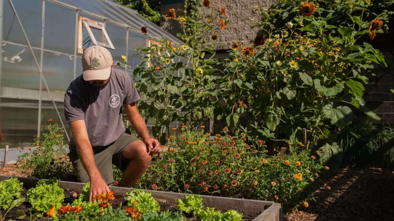 sw green city growers1 768x432