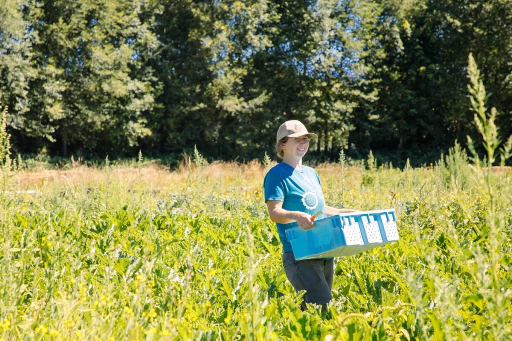 woman in field