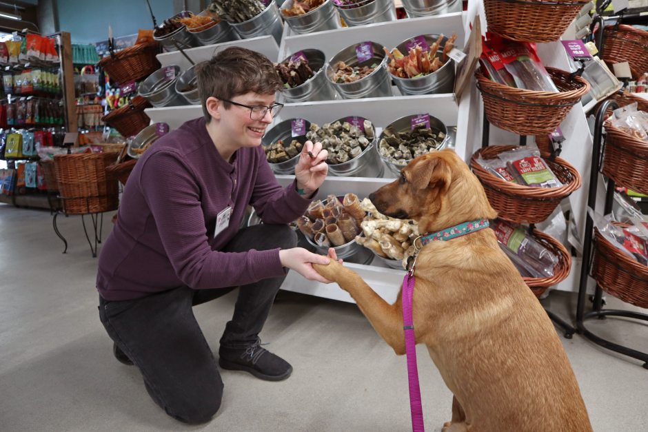 Person feeding dog in pet store.